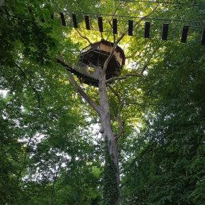Cabane perchée dans un arbre, entourée de feuillage verdoyant en Basse-Normandie.