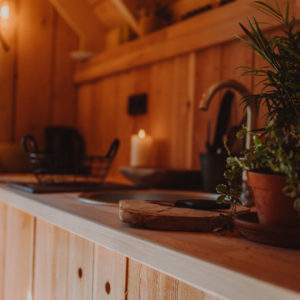 Cabane en bois chaleureuse avec cuisine rustique et plantes vertes.
