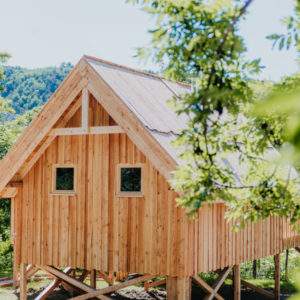 Cabane en bois perchée, entourée darbres, offrant une vue sur la nature.