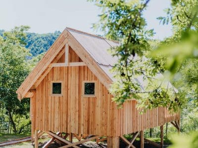 Cabane en bois perchée, entourée darbres, offrant une vue sur la nature.
