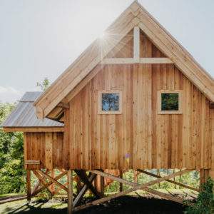 Cabane en bois sur pilotis, baignée de lumière, au cœur de la Provence-Alpes-Côte dAzur.