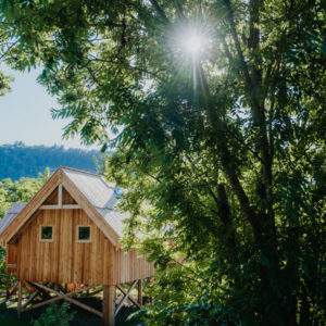 Cabane en bois perchée, entourée de verdure, sous un soleil éclatant.