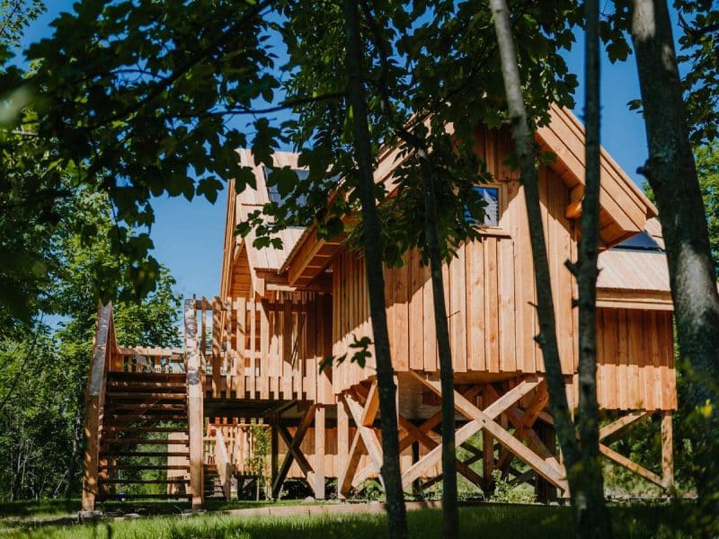Cabane en bois perchée, entourée darbres, offrant un cadre naturel apaisant.
