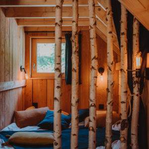 Cabane en bois avec des troncs de bouleau, ambiance chaleureuse et cosy.