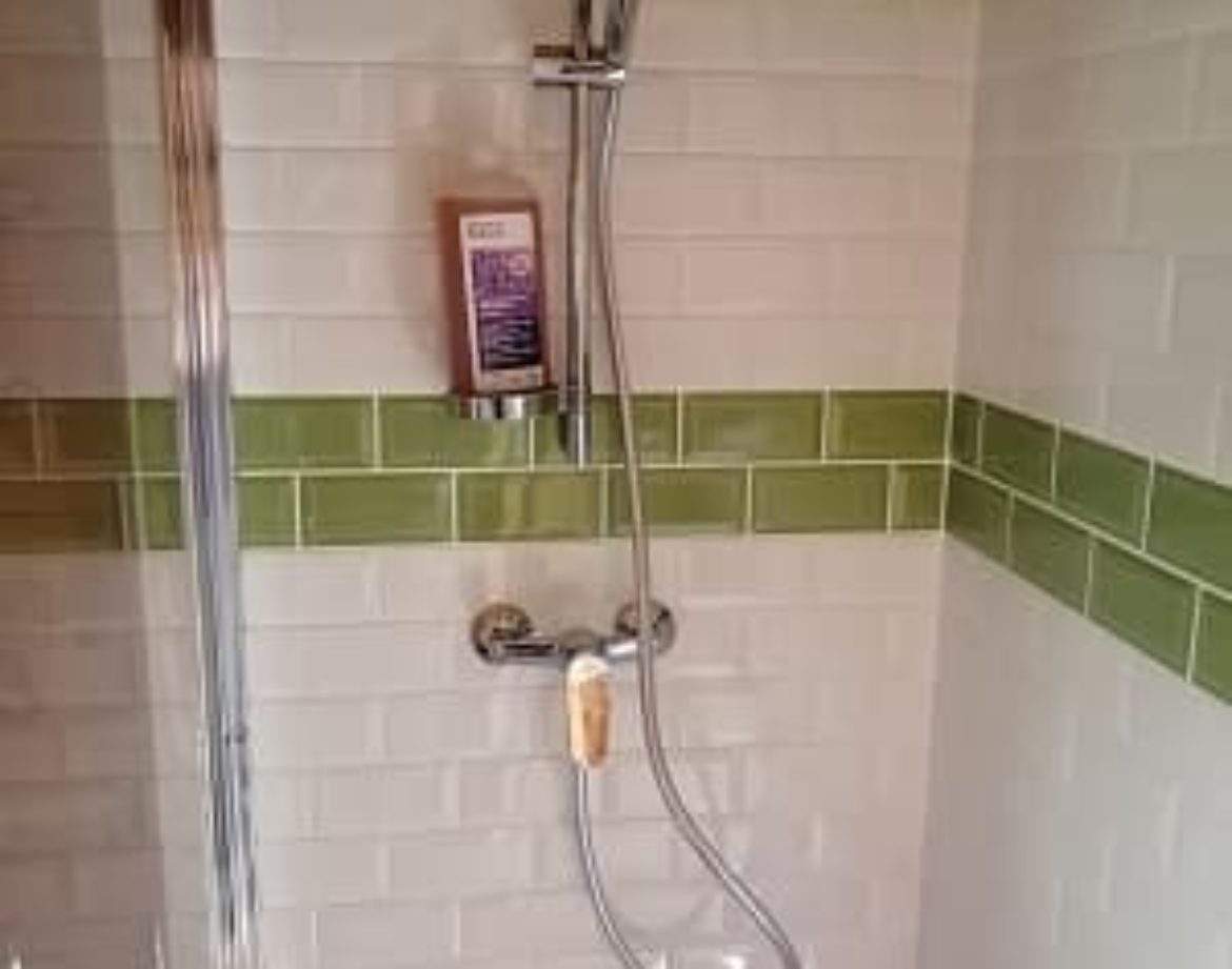 Douche moderne dans un hébergement insolite au Centre, carrelage vert et blanc.