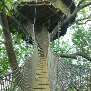 Cabane perchée dans un arbre, accessible par un pont suspendu, au cœur de la nature.