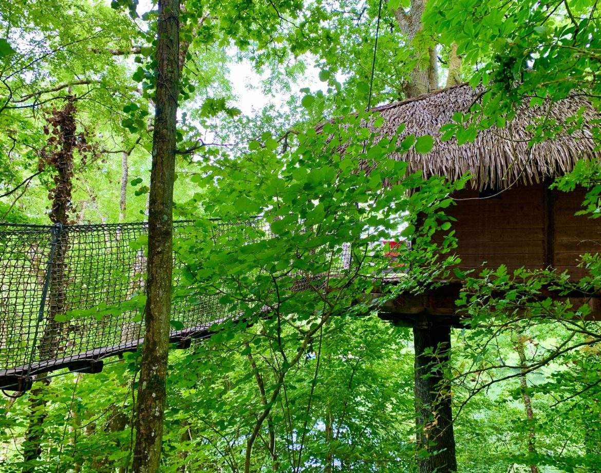 Cabane perchée dans les arbres, entourée de verdure luxuriante et dun pont suspendu.