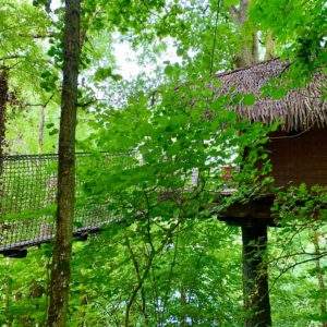 Cabane perchée dans les arbres, entourée de verdure luxuriante et dun pont suspendu.