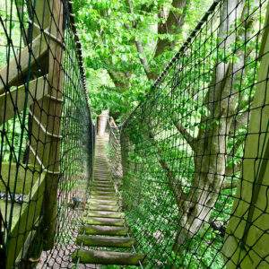 Basse-Normandie - Hébergement insolite