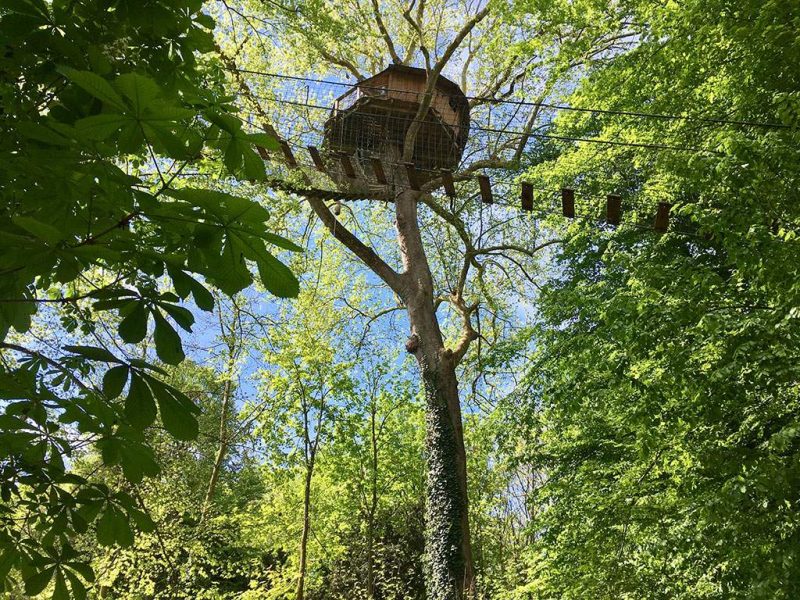 Cabane perchée dans un arbre, entourée de verdure luxuriante en Basse-Normandie.