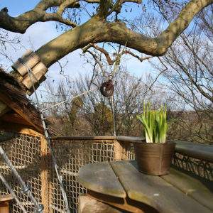 Cabane perchée dans un arbre, vue sur la nature et plante en pot sur la table.
