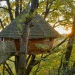 Sur Mon Arbre Perché