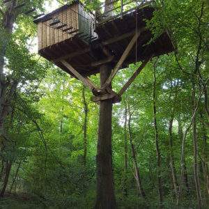 Cabane perchée dans un arbre, entourée de verdure en Basse-Normandie.