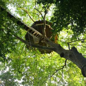 Cabane dans les arbres en Basse-Normandie, perchée au milieu dun feuillage verdoyant.