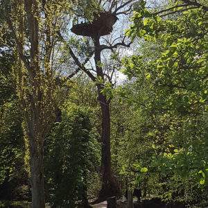 Cabane dans les arbres en Basse-Normandie, perchée au-dessus dun ruisseau verdoyant.