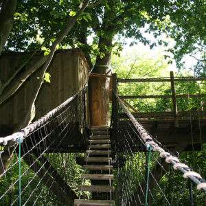 Cabane perchée dans les arbres, accessible par un pont suspendu verdoyant.