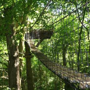 Cabane dans les arbres en Basse-Normandie, perchée au milieu dune forêt verdoyante.