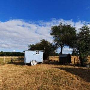 Hébergement insolite : une roulotte bleue entourée darbres dans un champ doré.