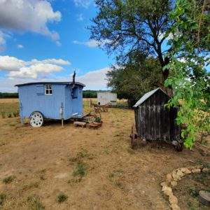 Charmante roulotte bleue au milieu dun champ, entourée de verdure.