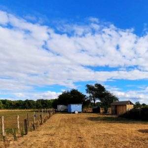 Hébergement insolite en roulotte bleue, entouré de champs et dun ciel dégagé.