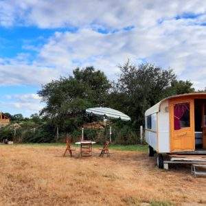 Charmante roulotte avec parasol, entourée de verdure et dun petit chalet en bois.