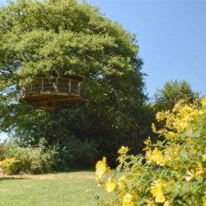 Cabane perchée dans un arbre, entourée de fleurs jaunes et verdure luxuriante.