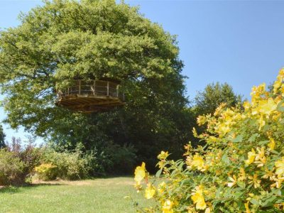 Cabane perchée dans un arbre, entourée de fleurs jaunes et verdure luxuriante.