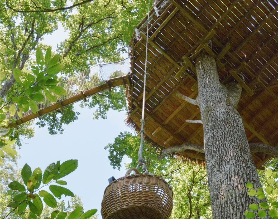 Cabane perchée dans un arbre, avec une plateforme en bois et une vue verdoyante.