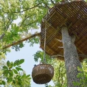 Cabane perchée dans un arbre, avec une plateforme en bois et une vue verdoyante.