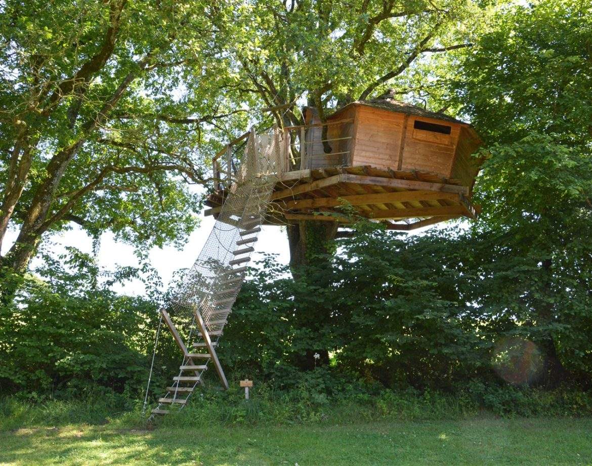 Cabane dans les arbres à Pays de la Loire, perchée et entourée de verdure luxuriante.