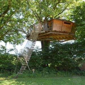 Cabane dans les arbres à Pays de la Loire, perchée et entourée de verdure luxuriante.