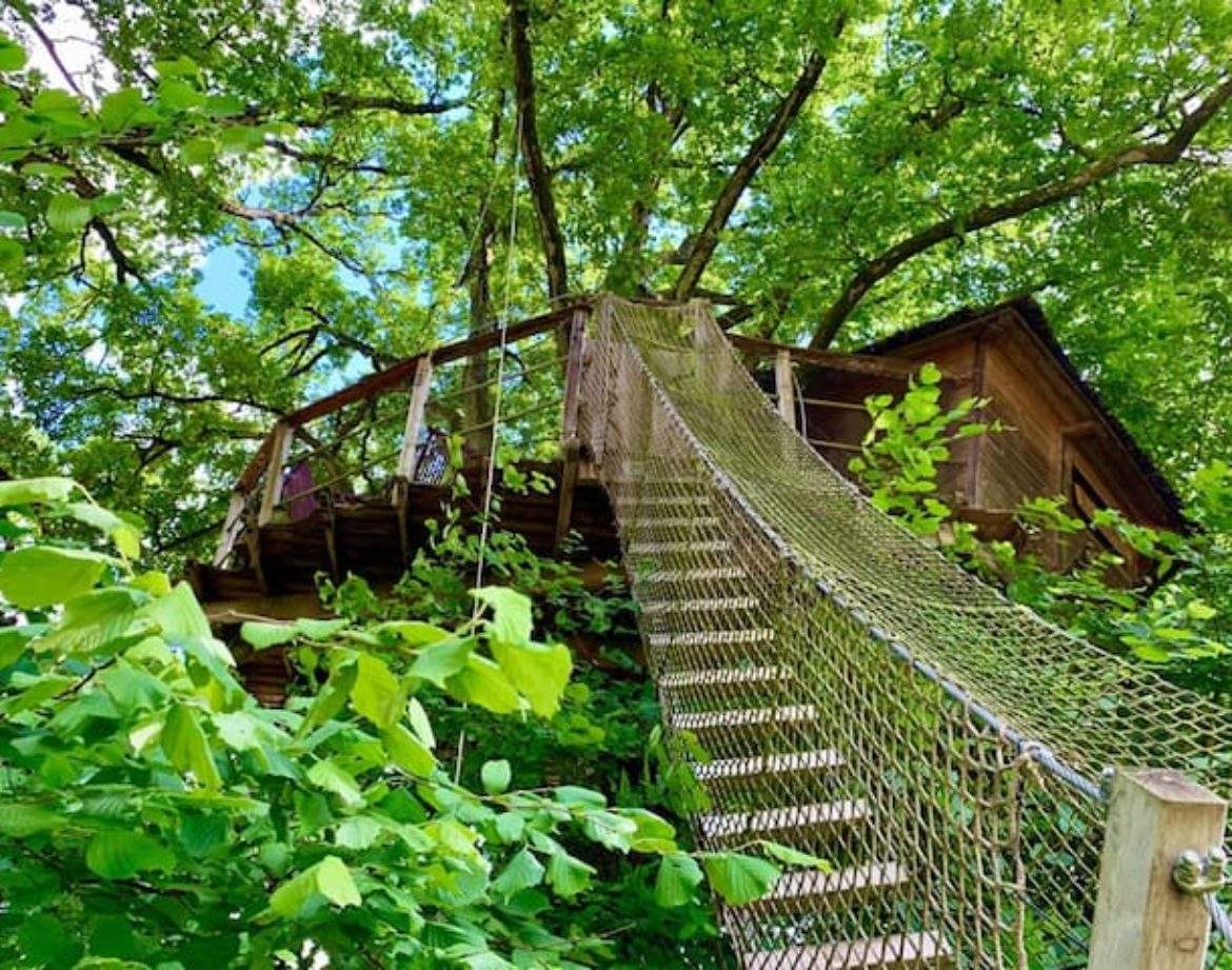 Cabane perchée dans un arbre, accessible par un pont suspendu, entourée de verdure.