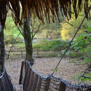 Cabane dans les arbres, vue sur la nature verdoyante et paisible.