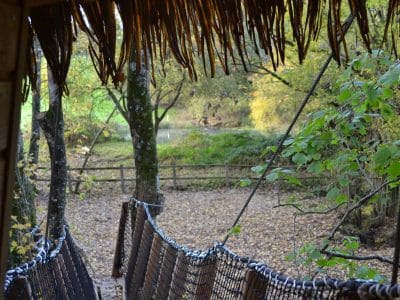 Cabane dans les arbres, vue sur la nature verdoyante et paisible.