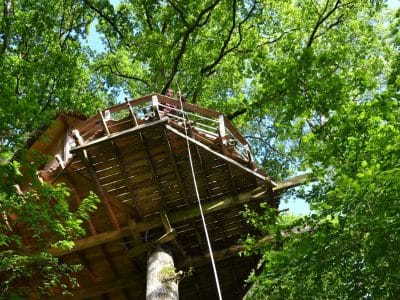 Cabane perchée dans les arbres, entourée de feuillage verdoyant et lumineux.