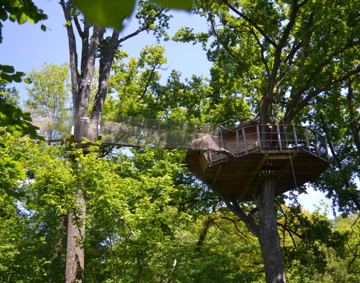Cabane dans les arbres au cœur de la verdure, perchée entre les feuillages.
