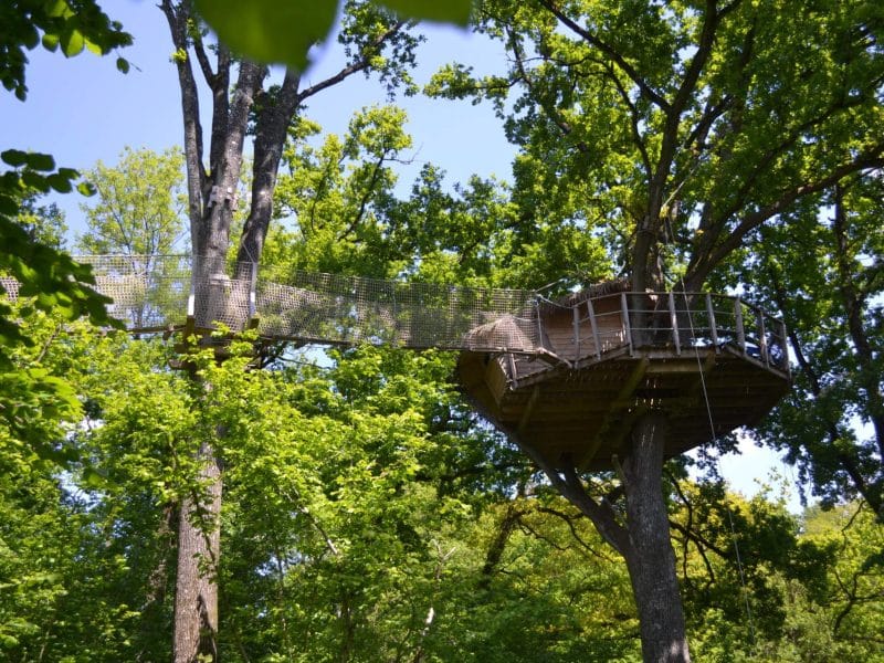 Cabane dans les arbres au cœur de la verdure, perchée entre les feuillages.
