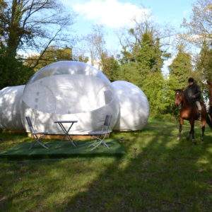 Hébergement insolite en bulle transparente, entouré de verdure et proche de chevaux.