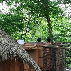 Hébergement insolite en Pays de la Loire avec jacuzzi en pleine nature.