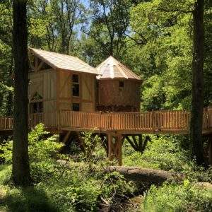 Cabane perchée en bois, entourée darbres verdoyants, offrant une vue paisible.