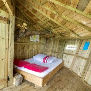 Cabane en bois avec un lit douillet et un arbre traversant le plafond.