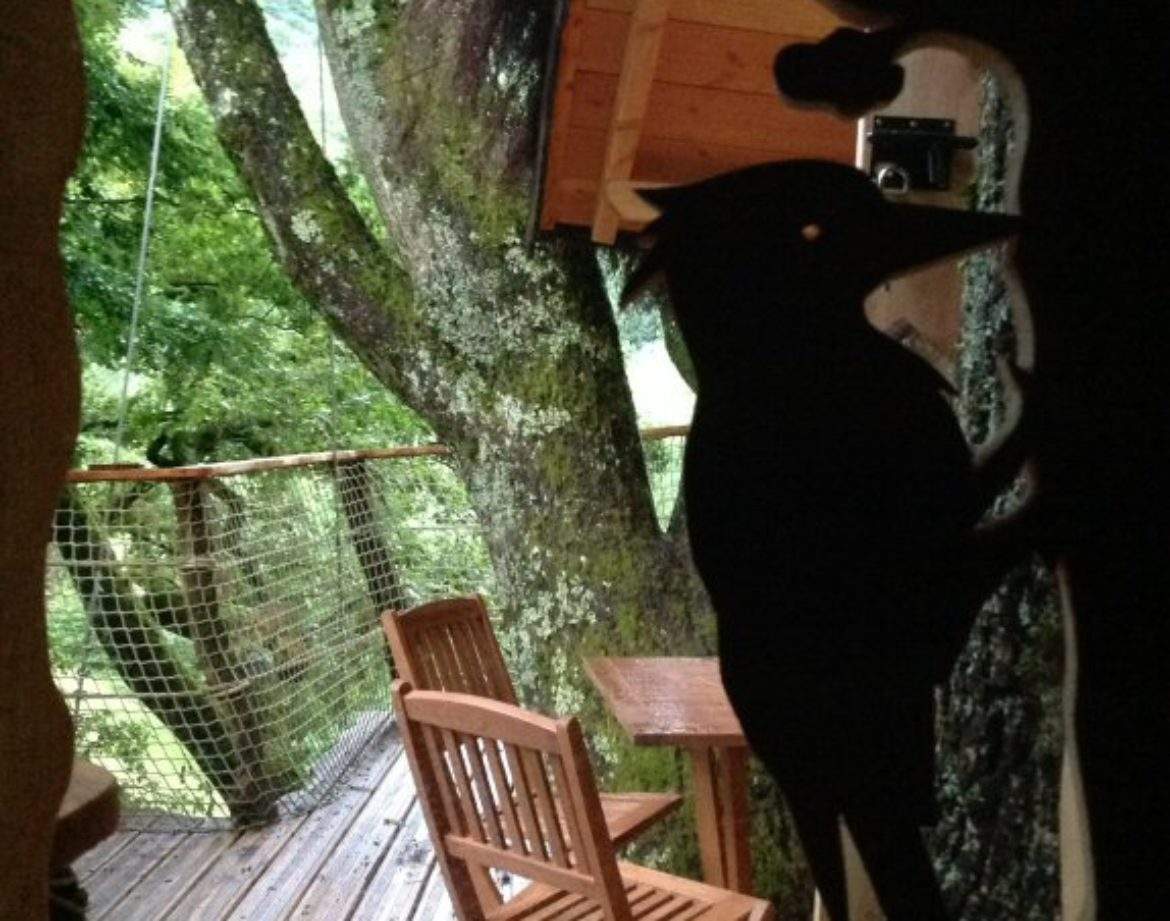 Cabane perchée en Auvergne-Rhône-Alpes, vue sur la terrasse en bois entourée darbres.