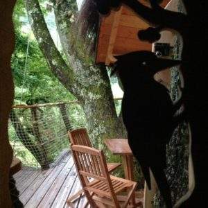 Cabane perchée en Auvergne-Rhône-Alpes, vue sur la terrasse en bois entourée darbres.