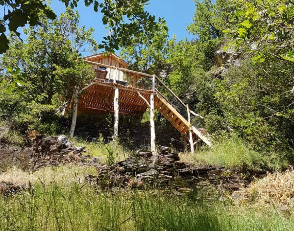Cabane perchée en bois dans la nature, entourée de verdure et de collines.