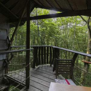 Cabane perchée en Champagne-Ardenne, avec balcon en bois surplombant la forêt verdoyante.