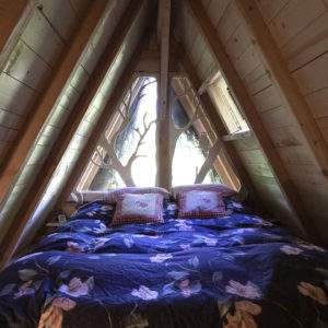 Cabane en bois avec lit douillet et fenêtres en forme darbre à Champagne-Ardennes.