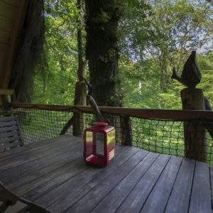 Cabane perchée en Champagne-Ardenne, avec une vue sur la forêt et une lampe rouge.