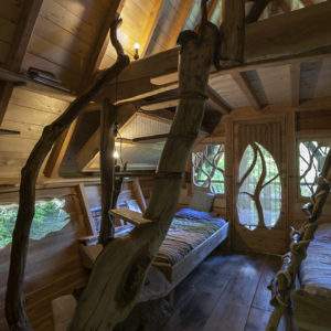 Cabane en bois dans les arbres, avec des détails naturels et une lumière chaleureuse.