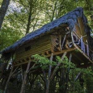 Cabane perchée en bois dans les arbres, entourée dune verdure luxuriante.