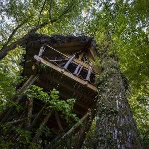 Cabane perchée dans les arbres, entourée de verdure luxuriante à Champagne-Ardenne.